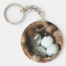 Bird Eggs Nest Keychains