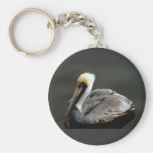 Bird / Endangered / Brown Pelican Keychain