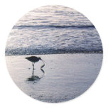 Bird Fishing Water Silhouette Sticker