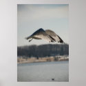 Bird Flying Into the Wind Print