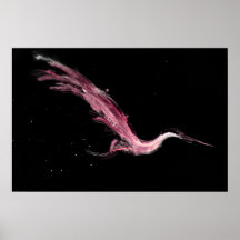 Bird Gesture Poster