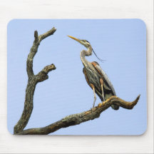 Bird Great Blue Heron Mousepad