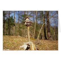 Bird Haven Greeting Cards