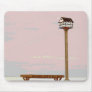 Bird House and Bench Mousepad