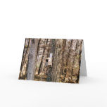 Bird House Card