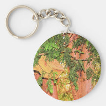 Bird House Keychains