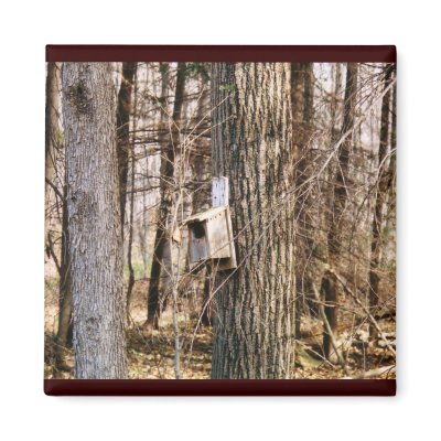 Bird House Magnet by stonedorphotos