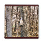 Bird House Magnet