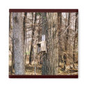 Bird House Magnet