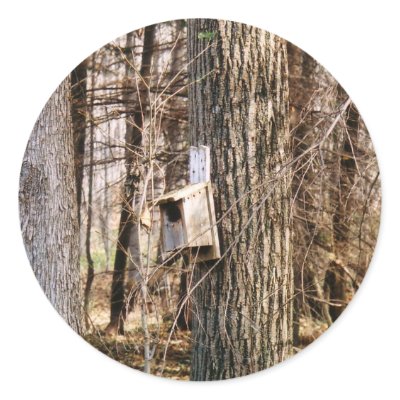 Bird House Stickers by stonedorphotos