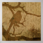 Bird in A Branch posters