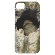 Bird in a Saguaro Nest iPhone 5 Cases
