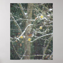 bird in a winter tree print