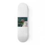 bird in blue water skateboard