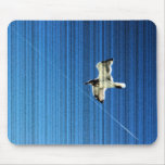 Bird in Flight 4