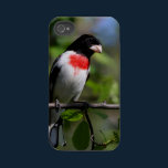 Bird iPhone4 Case casemate cases
