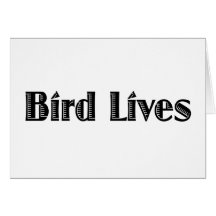 Bird Lives Cards