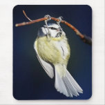 Bird mousepads