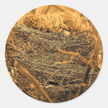 Bird Nest Sticker