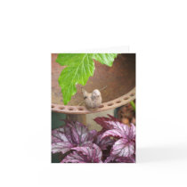 Bird Notecard Blank
