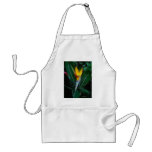 Bird of Paradise 8 Crayon Aprons