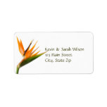 Bird of Paradise Address Labels
