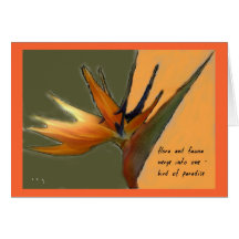 Bird of Paradise Card