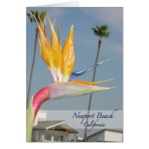 Bird of Paradise Card