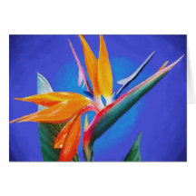 Bird of Paradise Flower Card