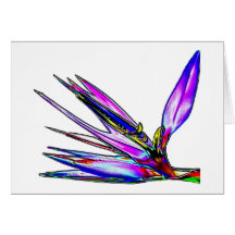 Bird of Paradise Flower (Coloured Foil Effect) Cards