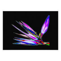 Bird of Paradise Flower (Coloured Foil Effect) Personalized Invites