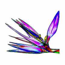 Bird of Paradise Flower (Coloured Foil Effect) Acrylic Cut Out