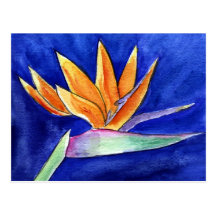 Bird-of-Paradise Flower Painting Art Postcard