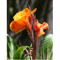 Bird of Paradise Flower Photograph Photo Sculpture