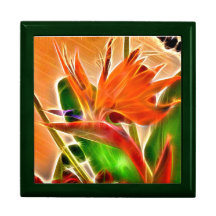 Bird of Paradise Gift Box