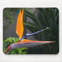 Bird of Paradise Mousepad
