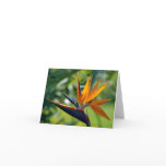 Bird Of Paradise Note Card
