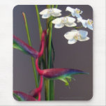 Bird-of-Paradise Orchids Mouse Pad