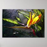 Bird Of Paradise Painting posters