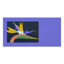 Bird Of Paradise Photo Card