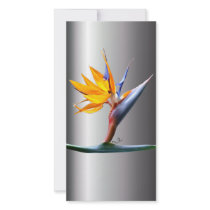 Bird of Paradise Photo Card