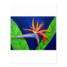 Bird of Paradise Postcard