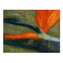 Bird of Paradise, Postcard