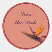 Bird of Paradise Stickers