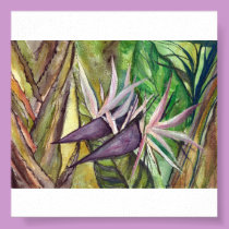 Bird of Paradise - watercolor posters