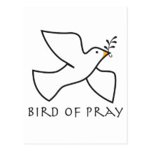 Bird Of Pray Postcards