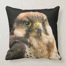 Bird of Prey American Mojo Pillow/Cushion