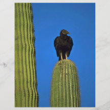 Bird Of Prey Custom Flyer