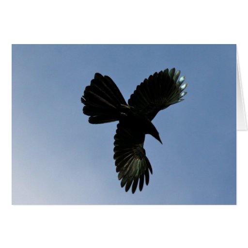 Bird of the sky greeting card