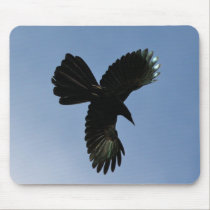 Bird of the sky mousepads